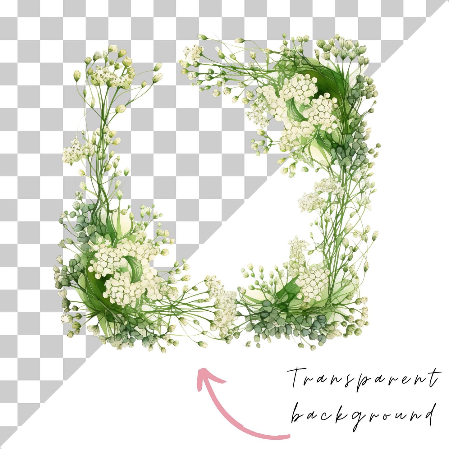 Watercolor Babys Breath Floral Clipart