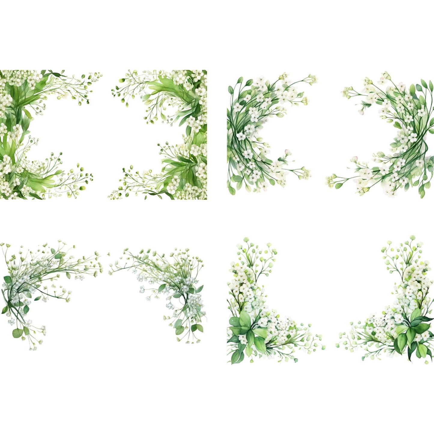 Watercolor Babys Breath Floral Clipart