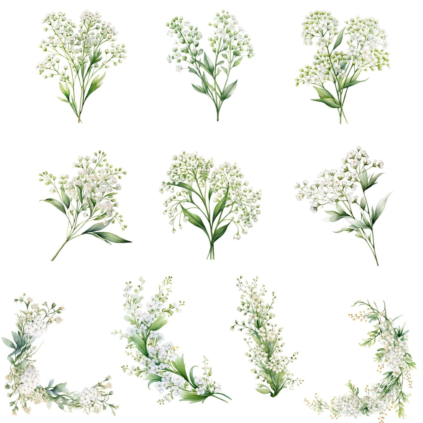 Watercolor Babys Breath Floral Clipart