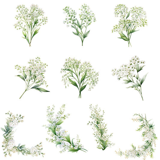 Watercolor Babys Breath Floral Clipart