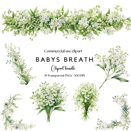 Watercolor Babys Breath Floral Clipart