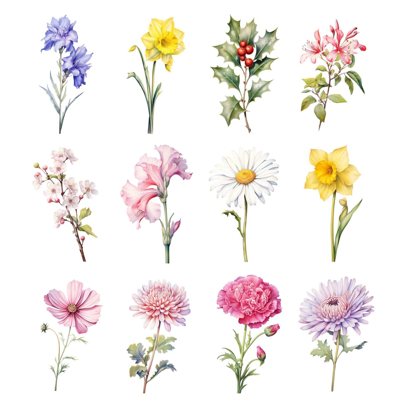 Watercolor Birth Month Flower Clipart