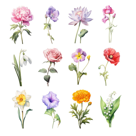 Watercolor Birth Month Flower Clipart