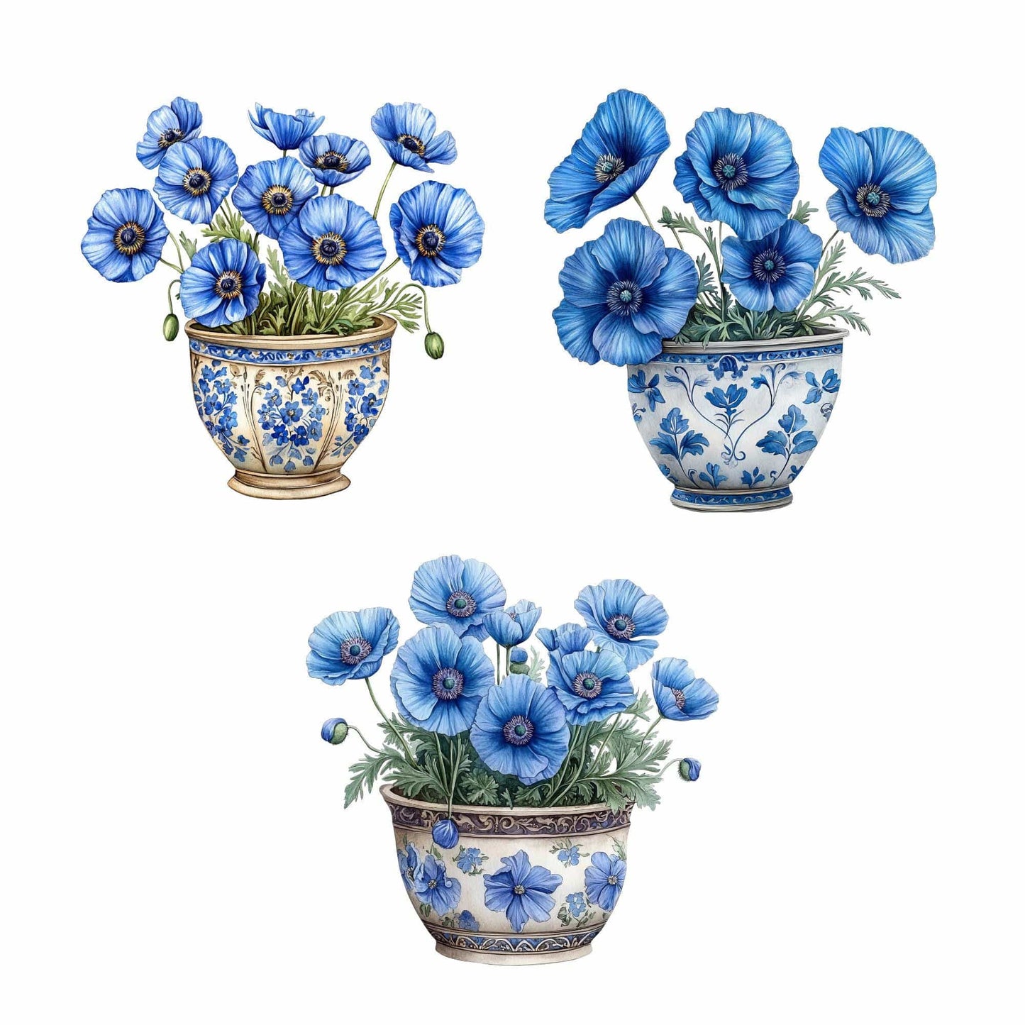 Watercolor Blue Poppy Clipart