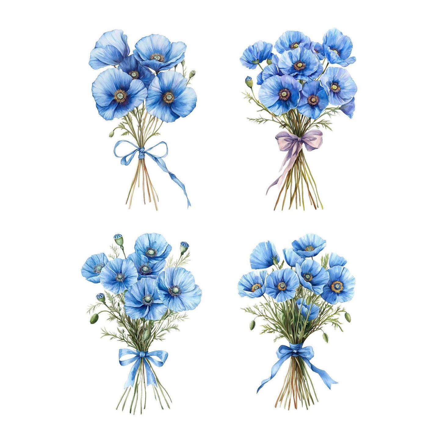 Watercolor Blue Poppy Clipart
