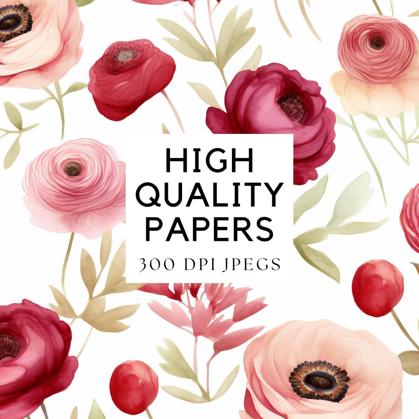 Watercolor Blush & Red Ranunculus Digital Papers