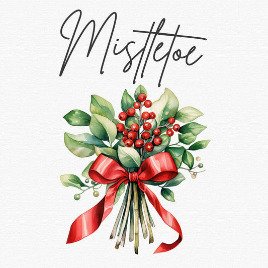 Watercolor Christmas Mistletoe Clipart Single