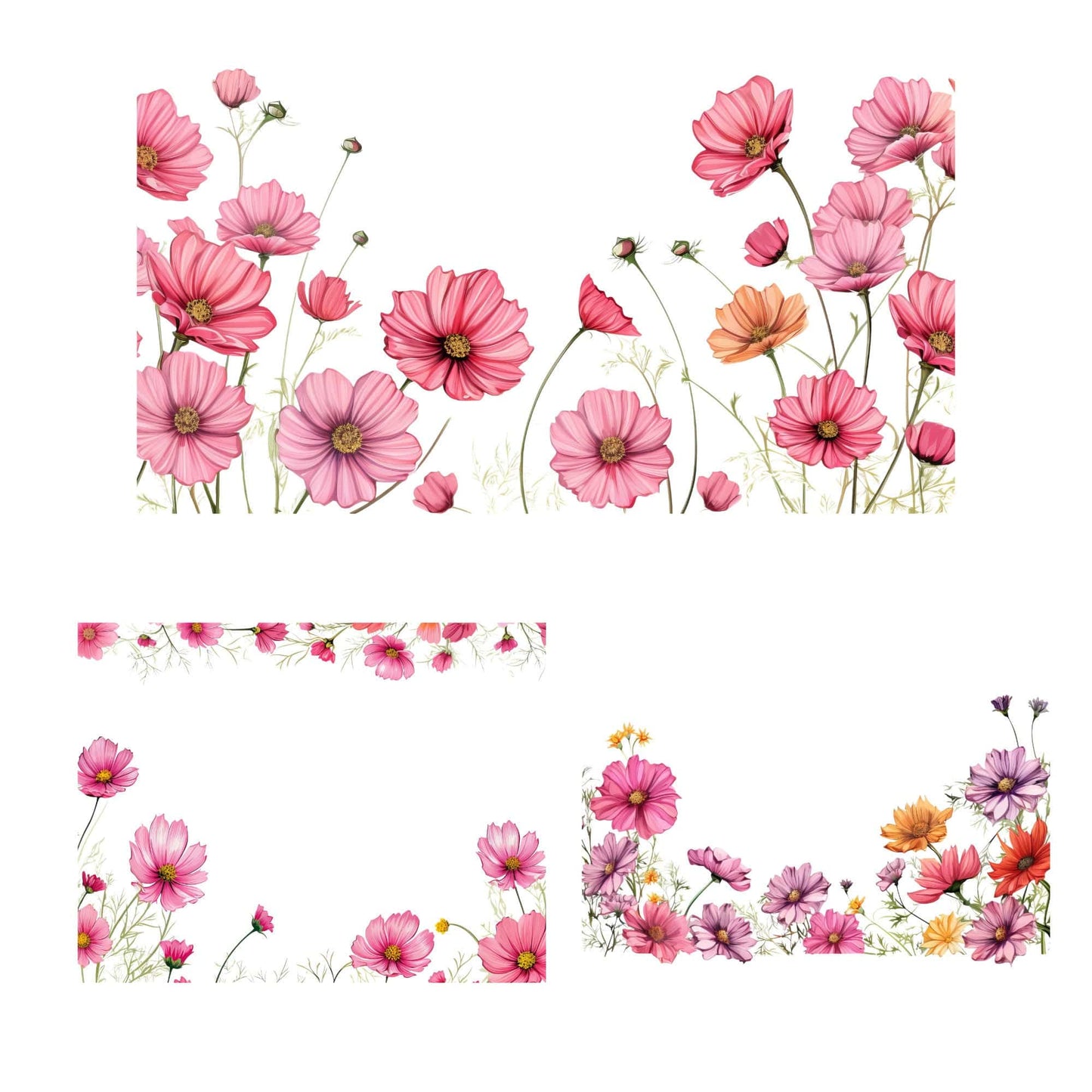 Watercolor Cosmos floral Clipart