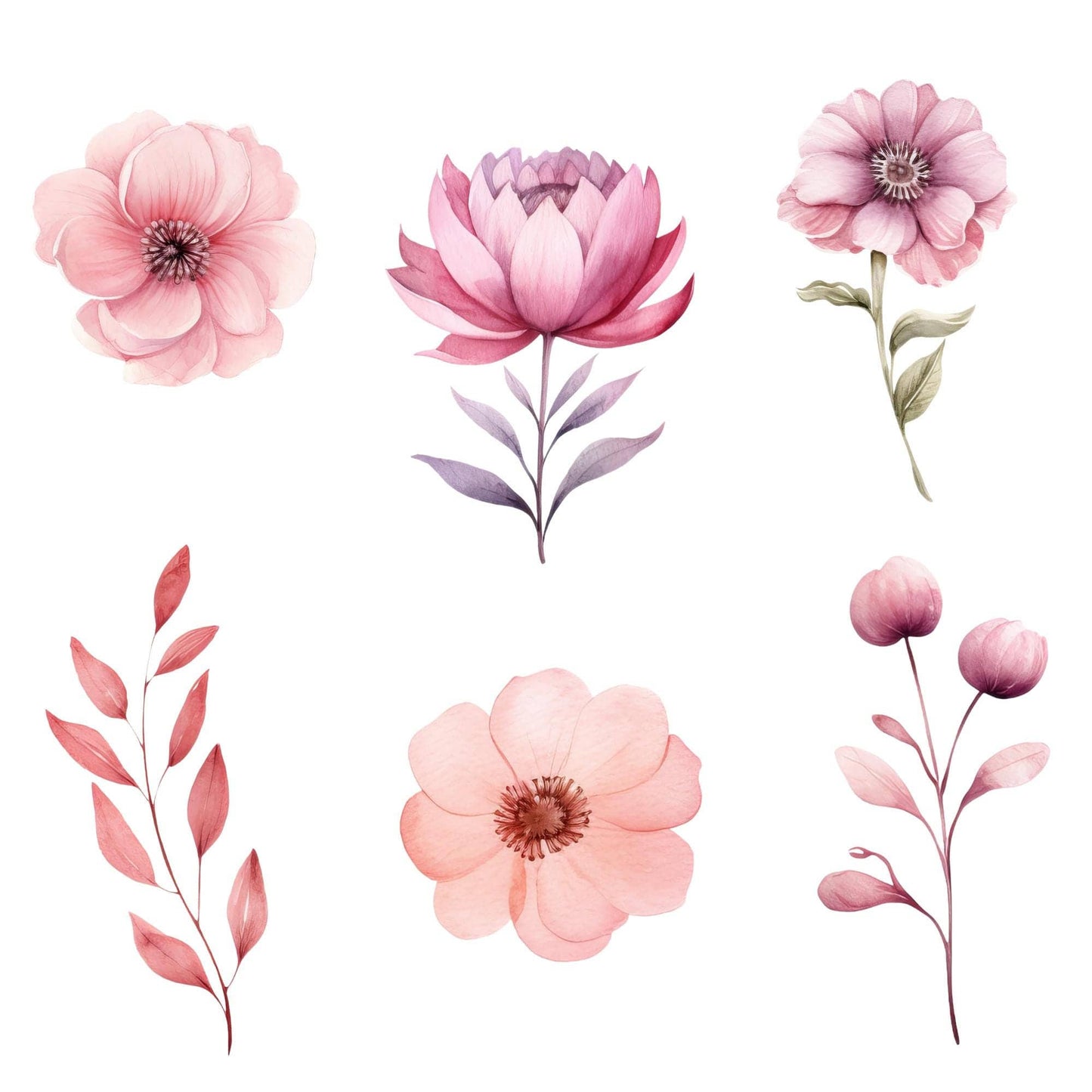 Watercolor Dusty Pink Floral Clipart