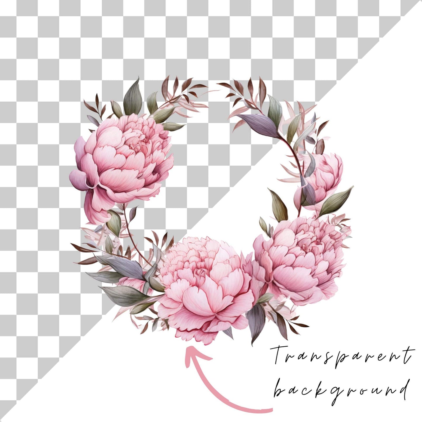 Watercolor Dusty Pink Peony Clipart