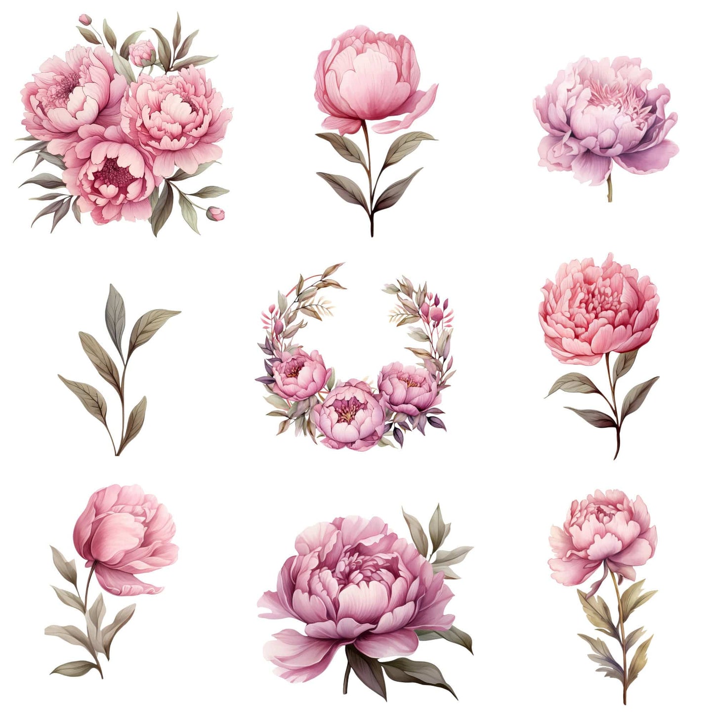 Watercolor Dusty Pink Peony Clipart