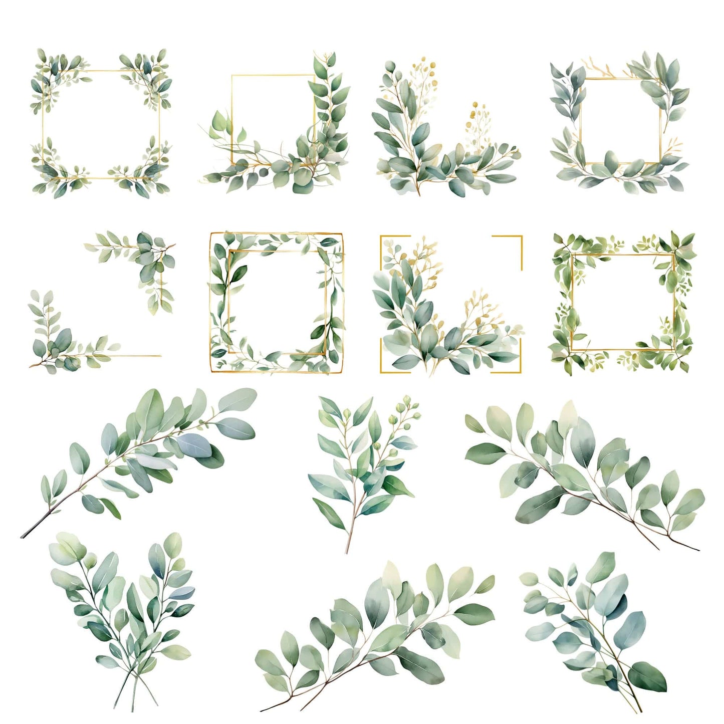 Watercolor Eucalyptus Leaves Clipart