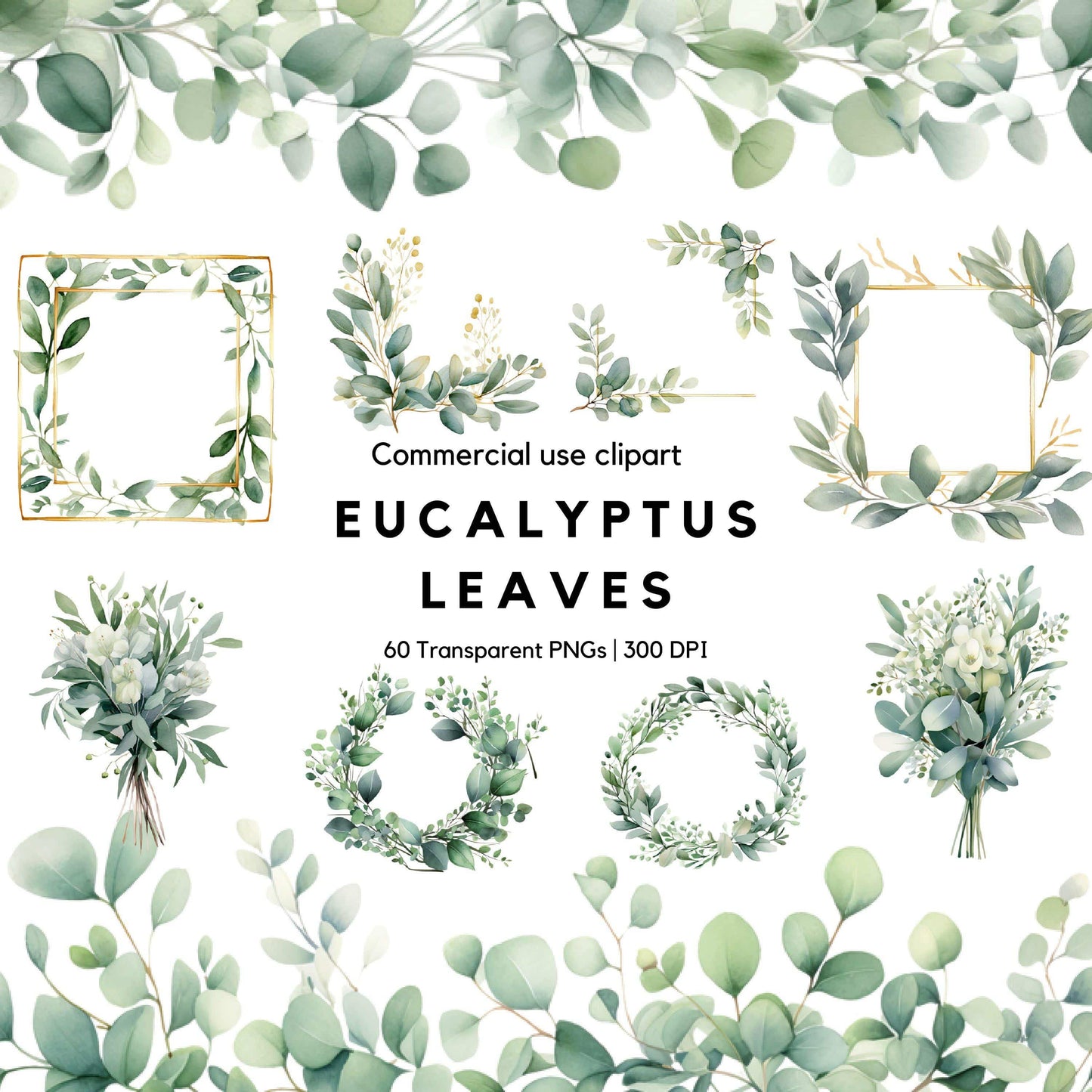 Watercolor Eucalyptus Leaves Clipart