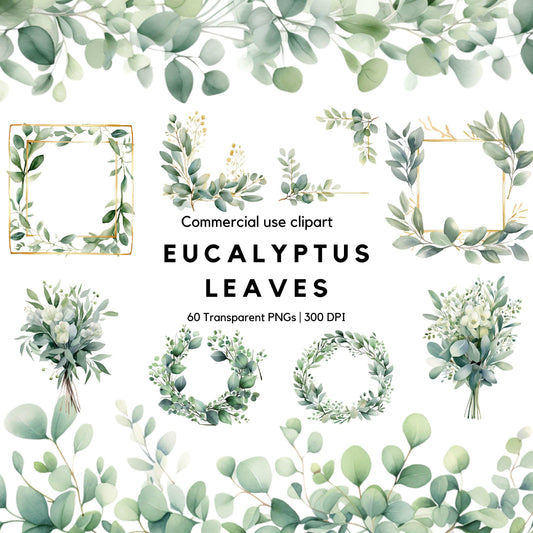 Watercolor Eucalyptus Leaves Clipart