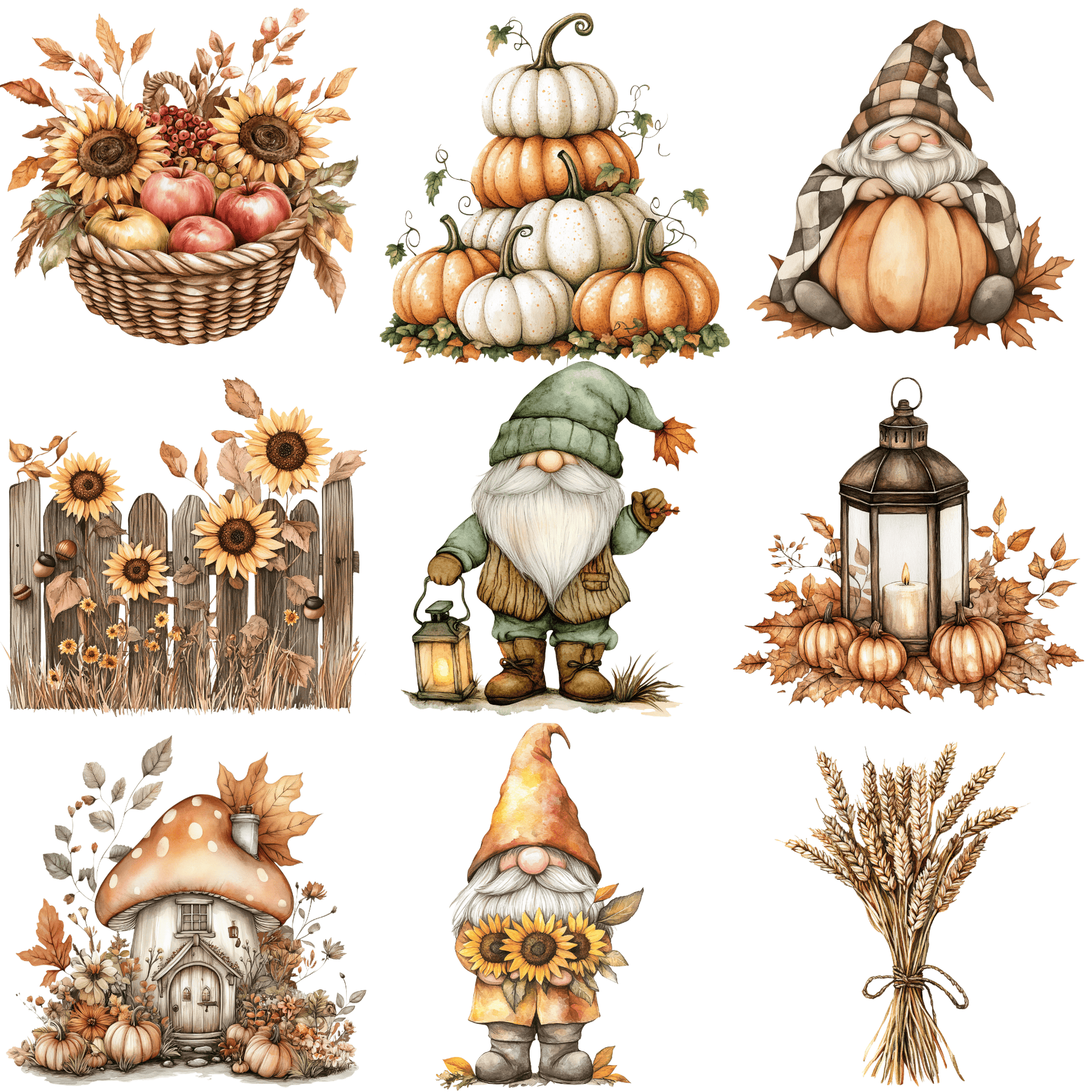 a bunch of pictures of pumpkins and gnomes
