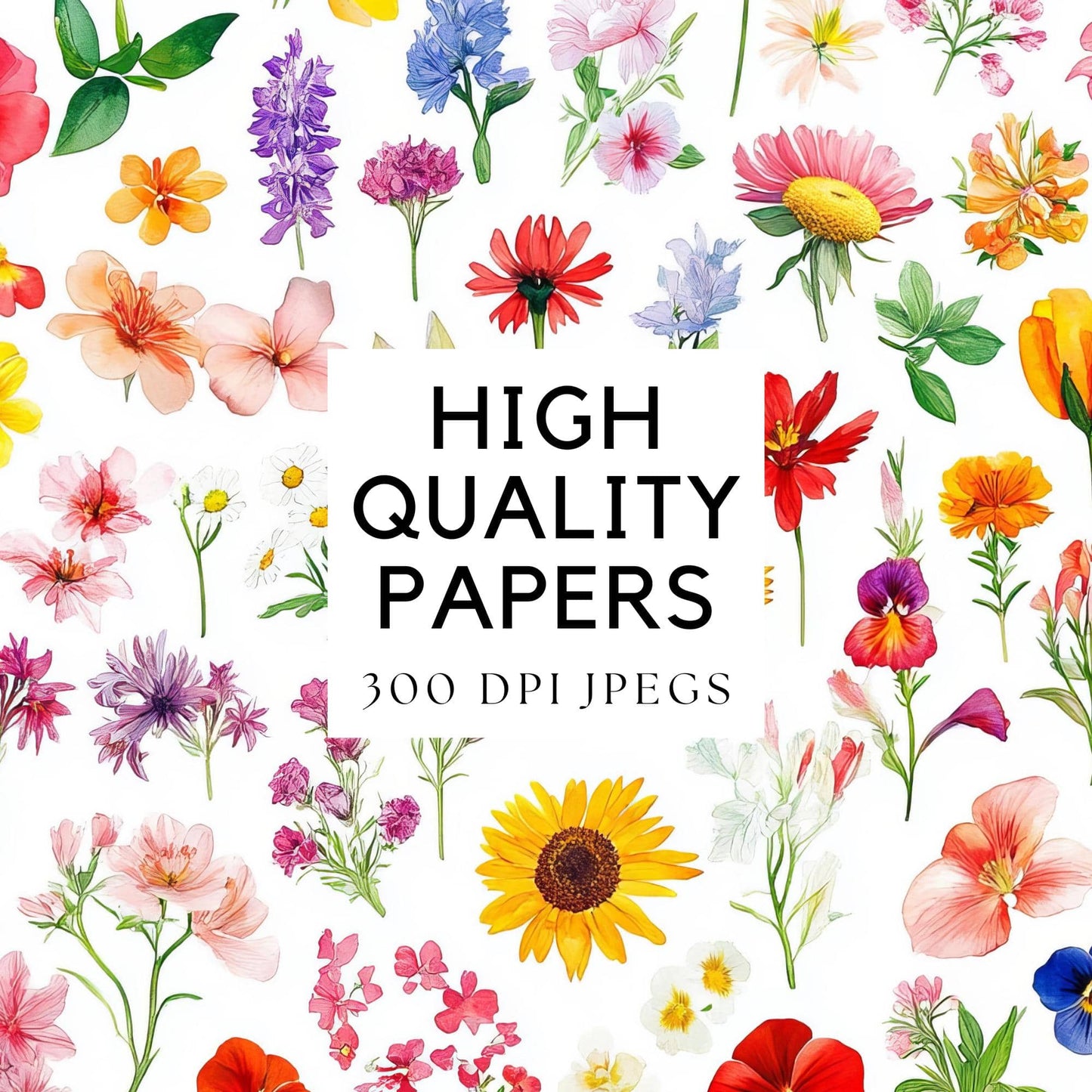 Watercolor Floral Elements Digital Papers