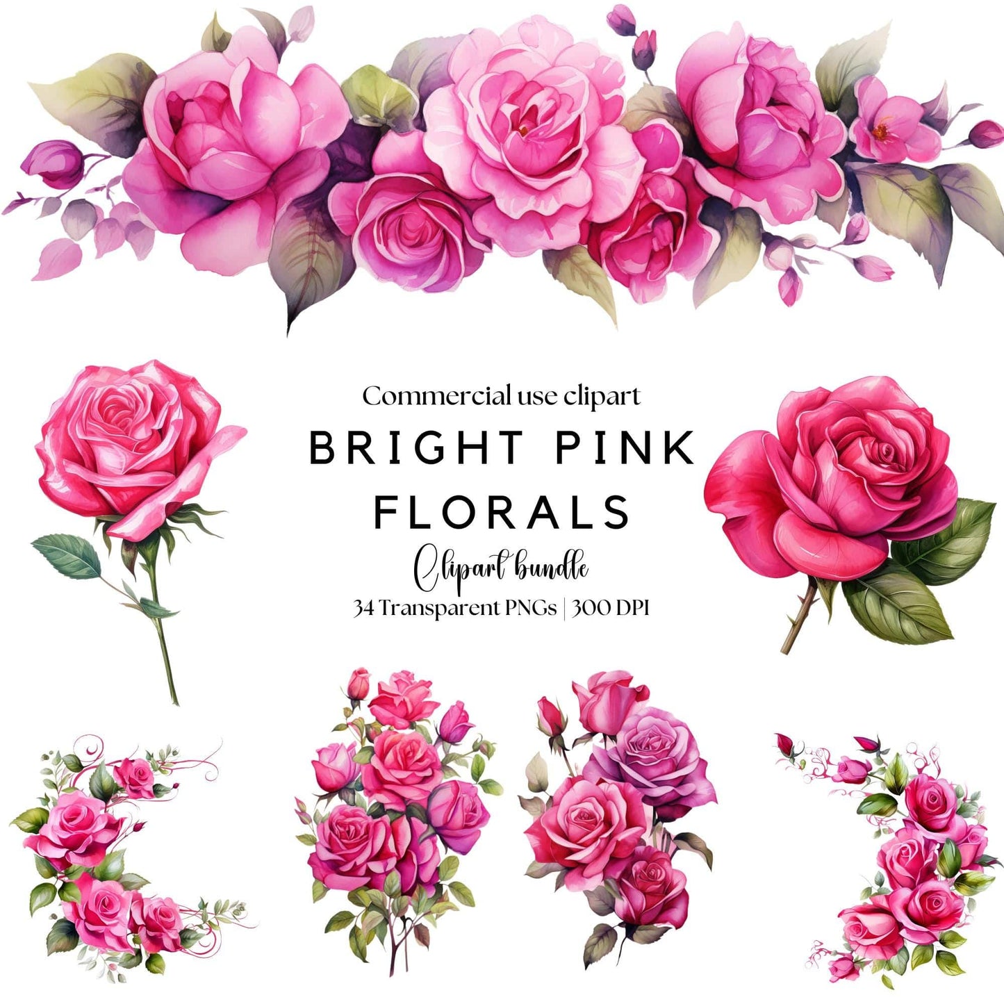 Watercolor Fuchsia Rose Floral Clipart