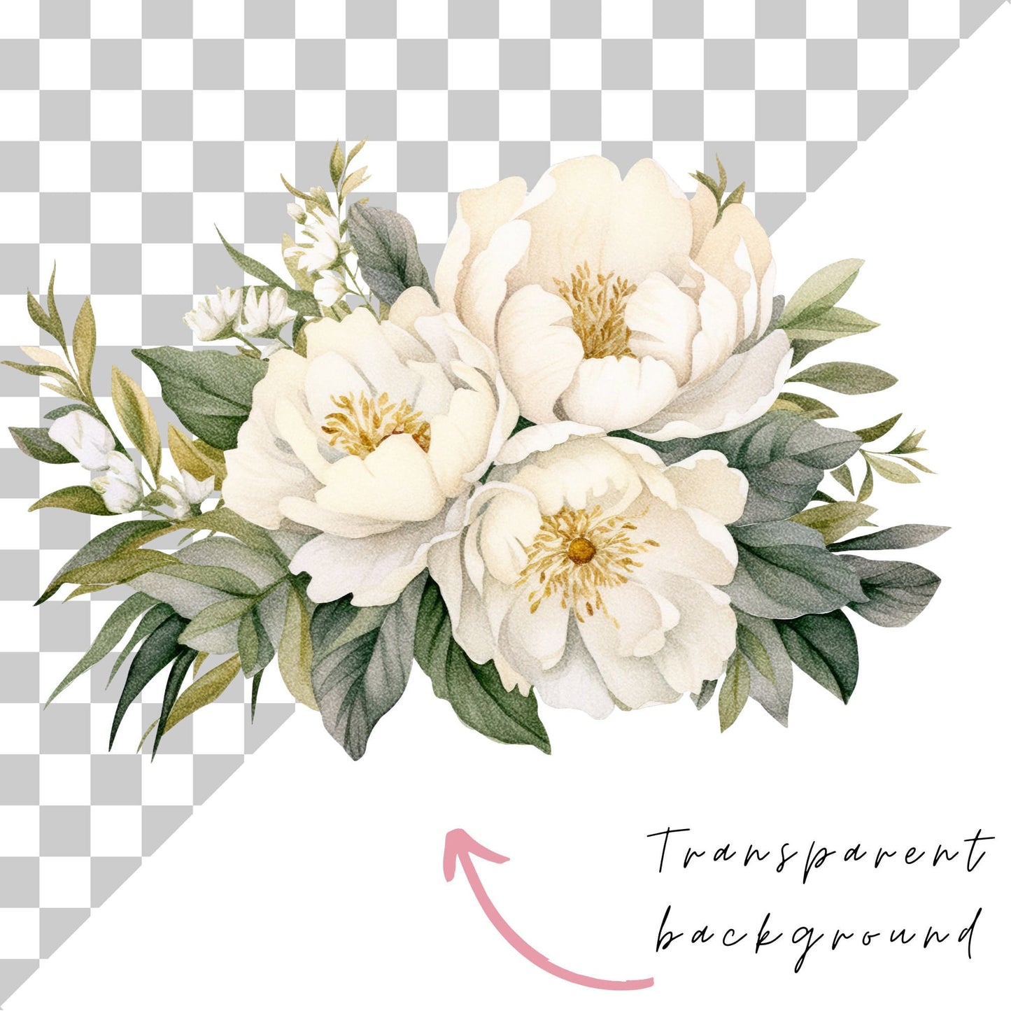 Watercolor Ivory White Peony Floral Clipart
