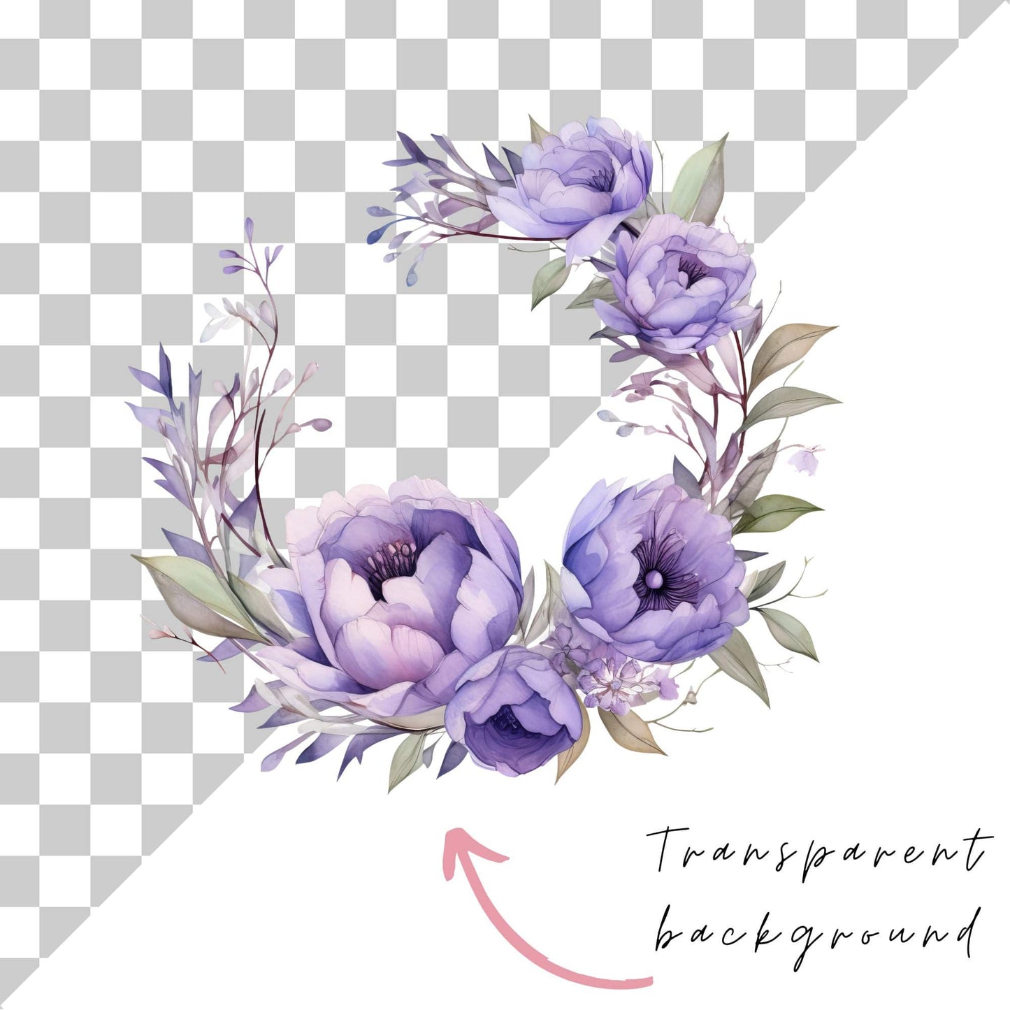 Watercolor Lavender Peony Clipart