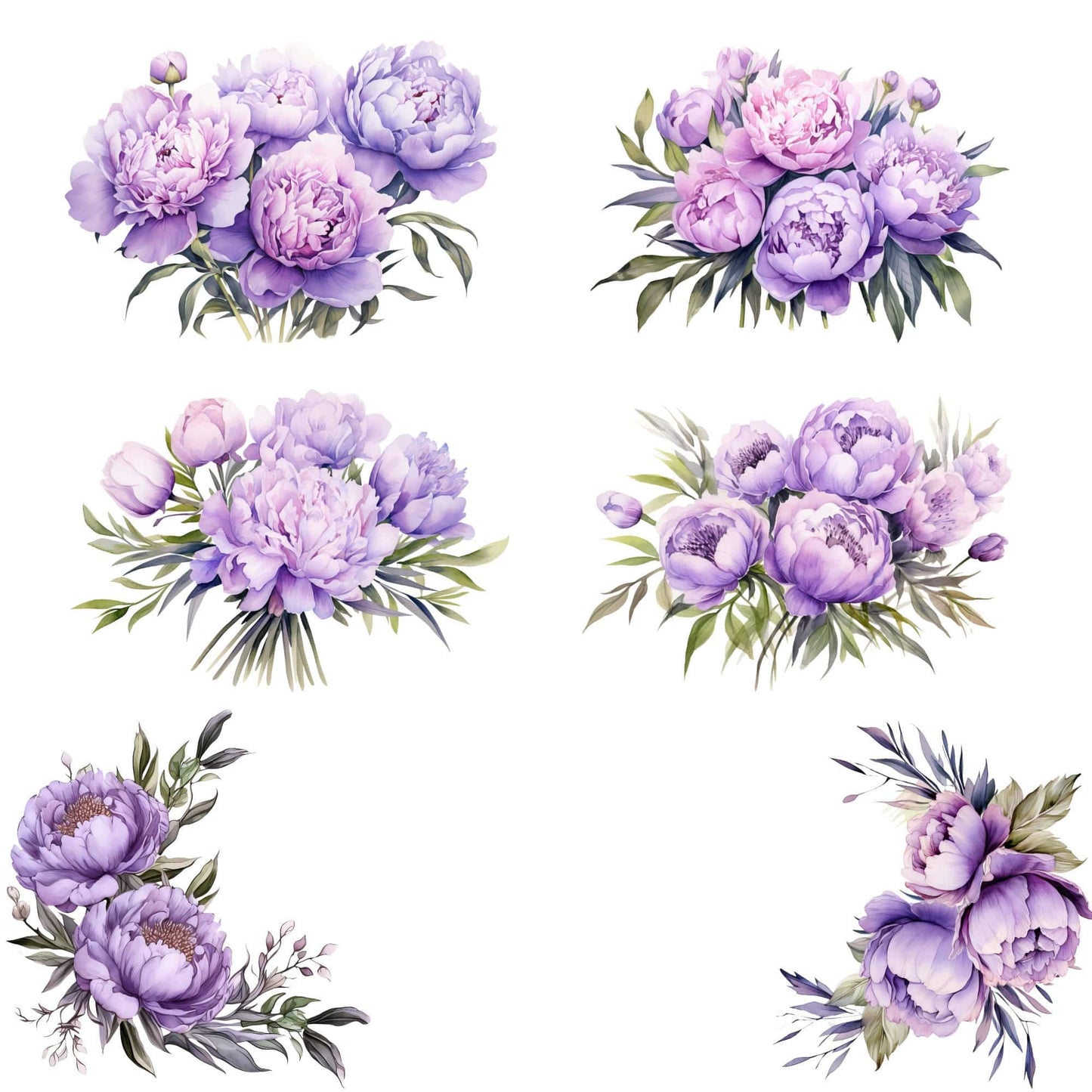 Watercolor Lavender Peony Clipart
