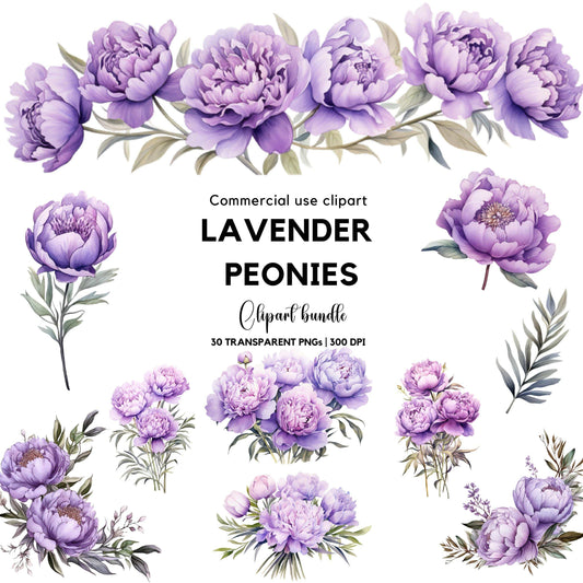 Watercolor Lavender Peony Clipart
