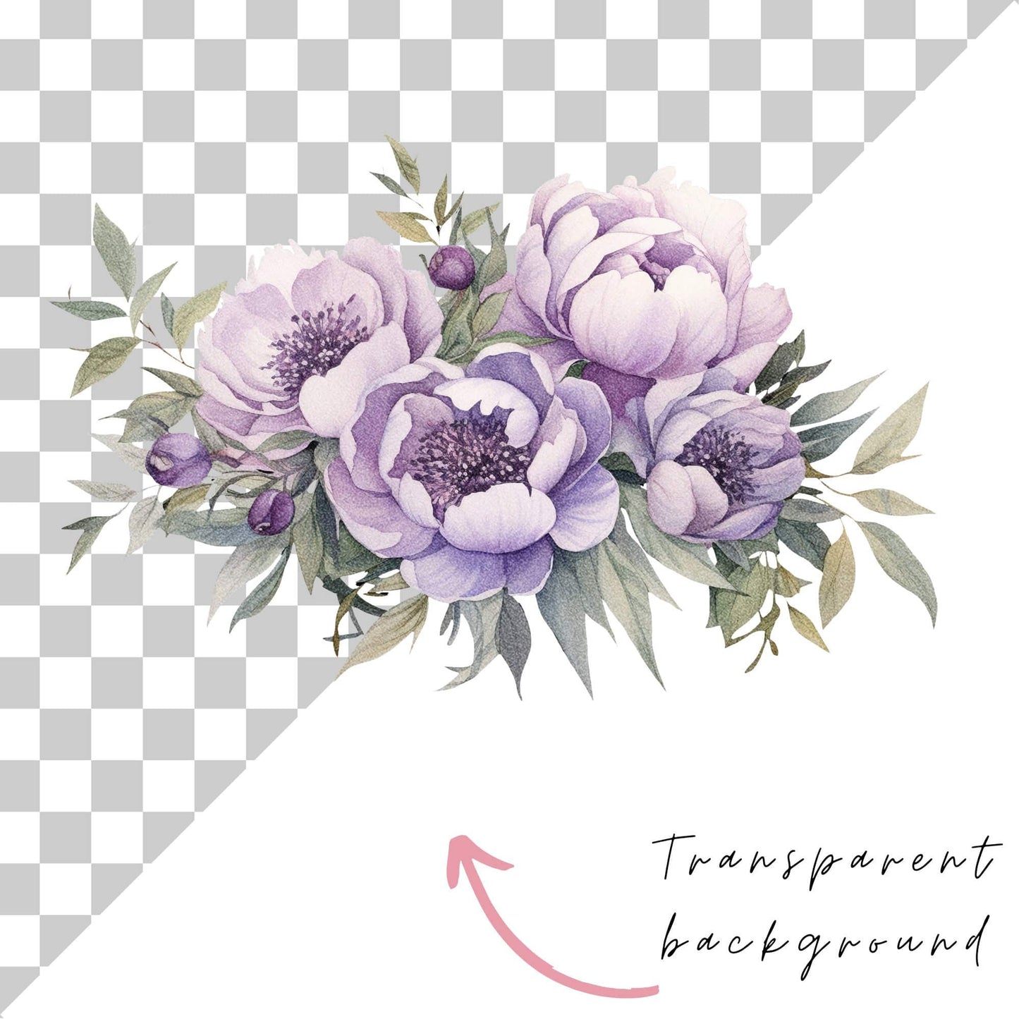 Watercolor Lavender Peony Floral Clipart