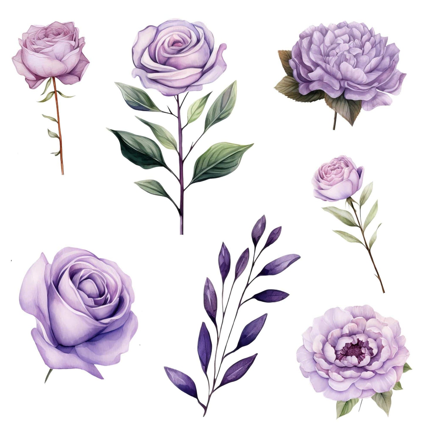 Watercolor Lilac Floral Clipart