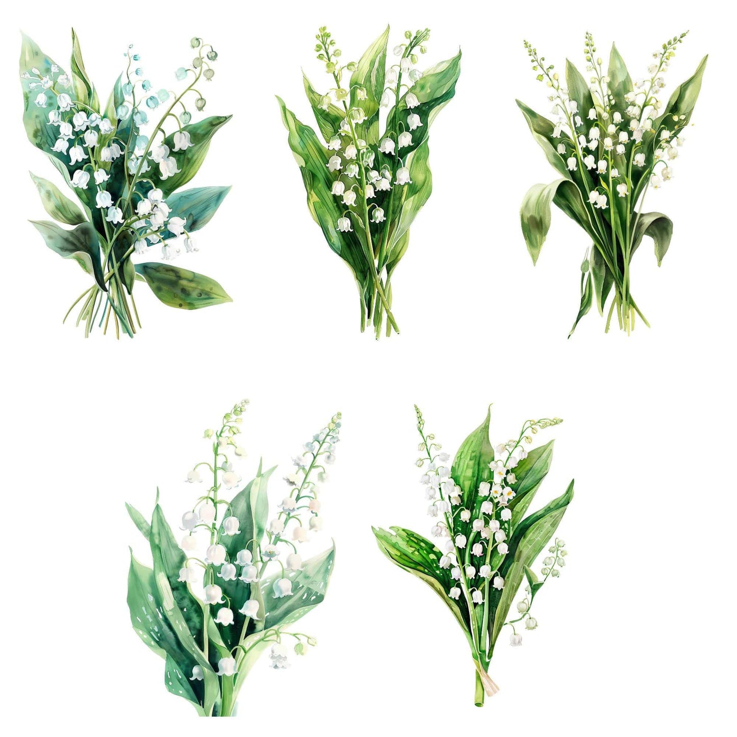 Watercolor Lily of the Valley Floral Clipart