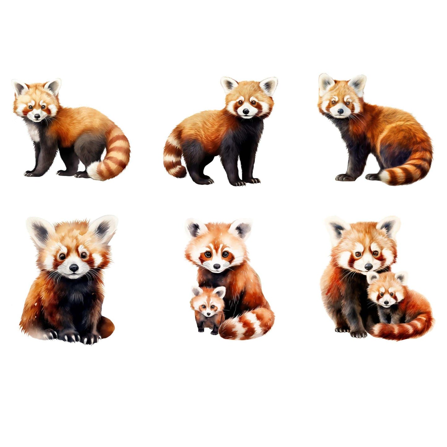 Watercolor Red Panda Clipart