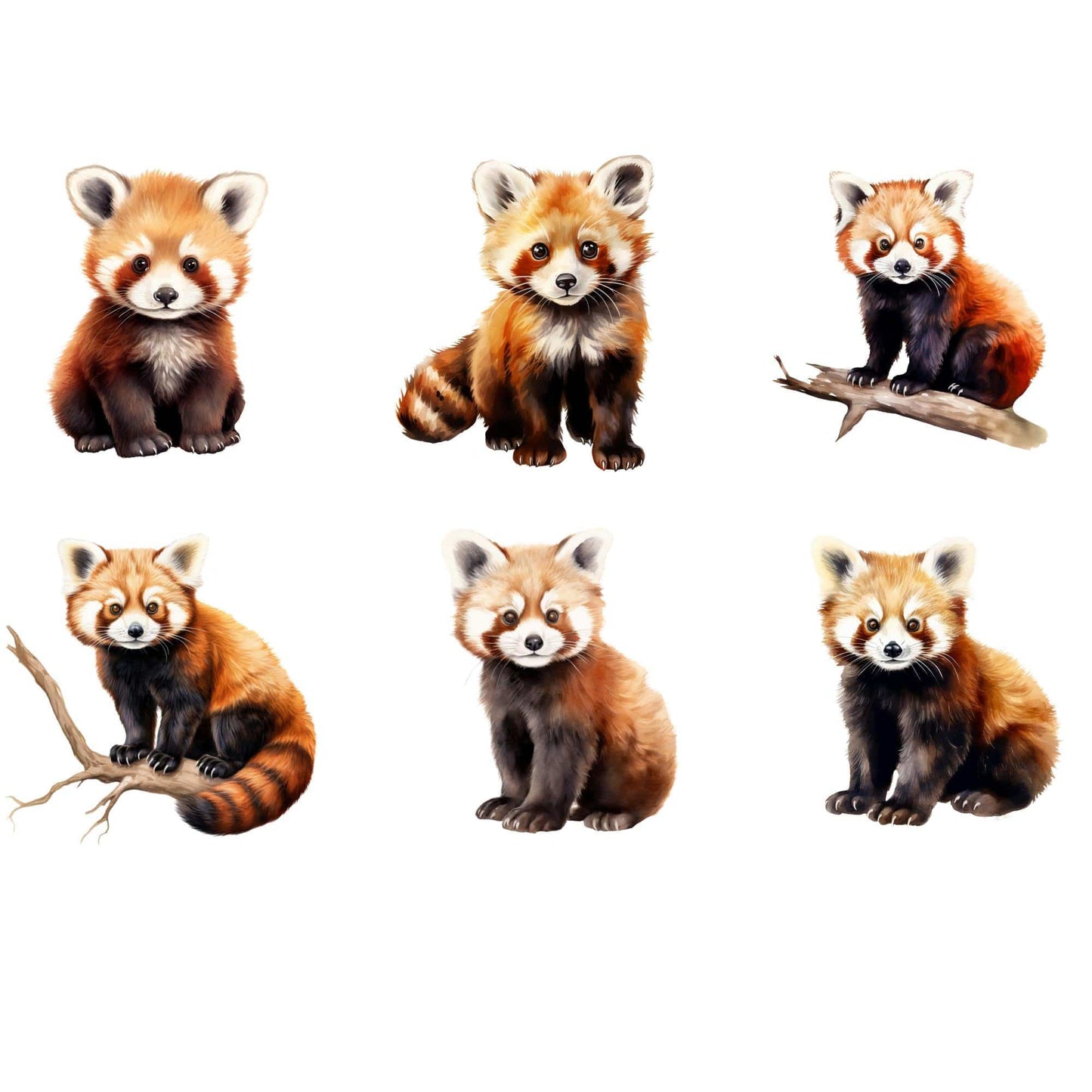 Watercolor Red Panda Clipart