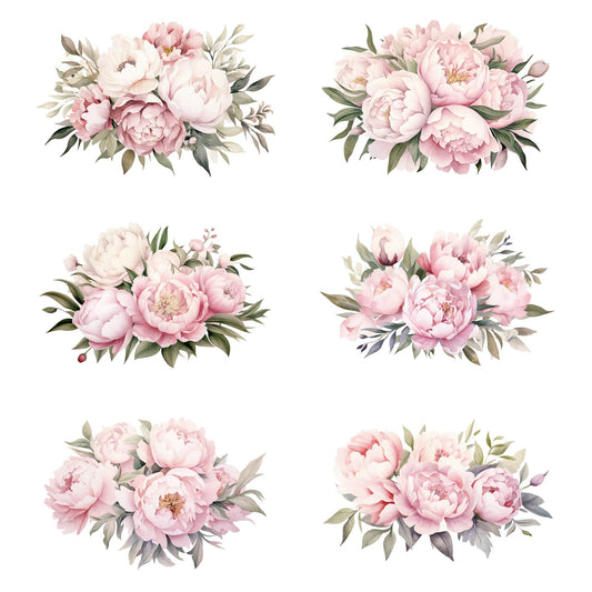 Watercolor Soft Pink Peony Floral Clipart