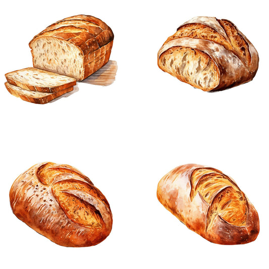 Watercolor Sourdough  bread Clipart