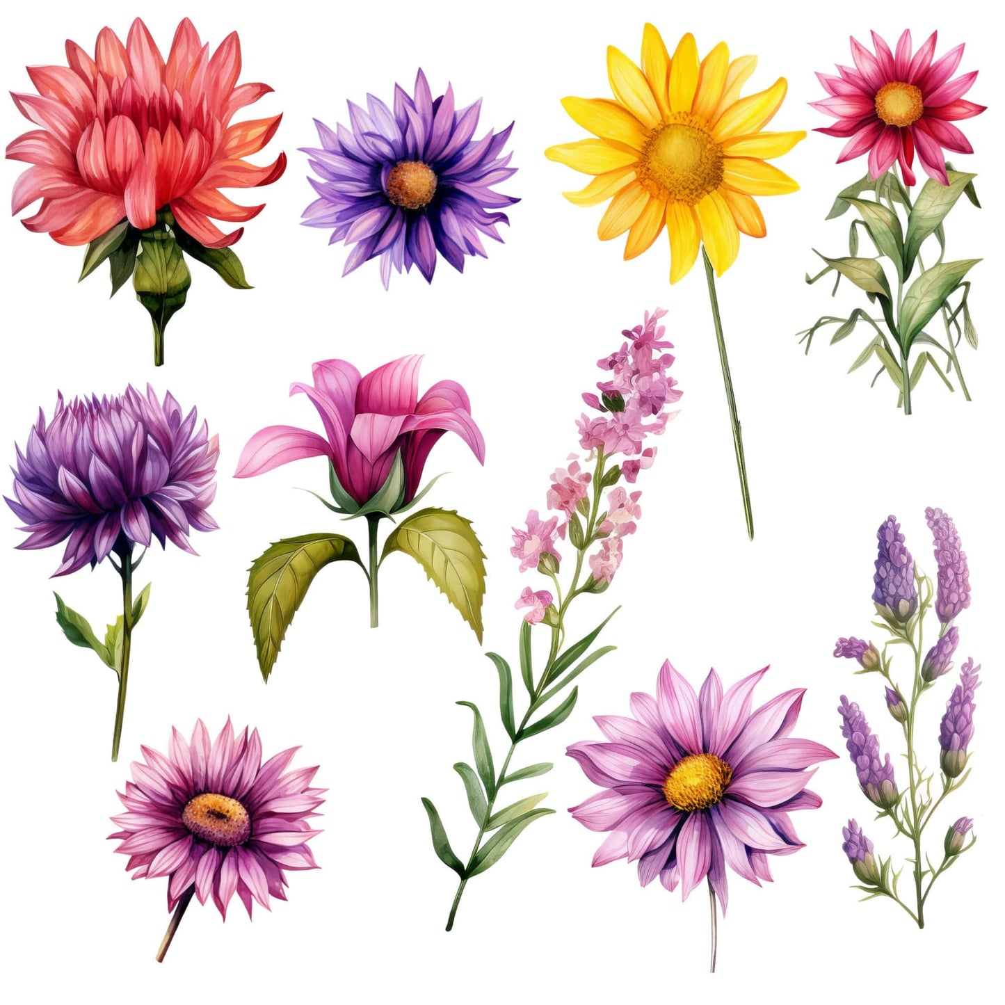 Watercolor Summer floral clipart