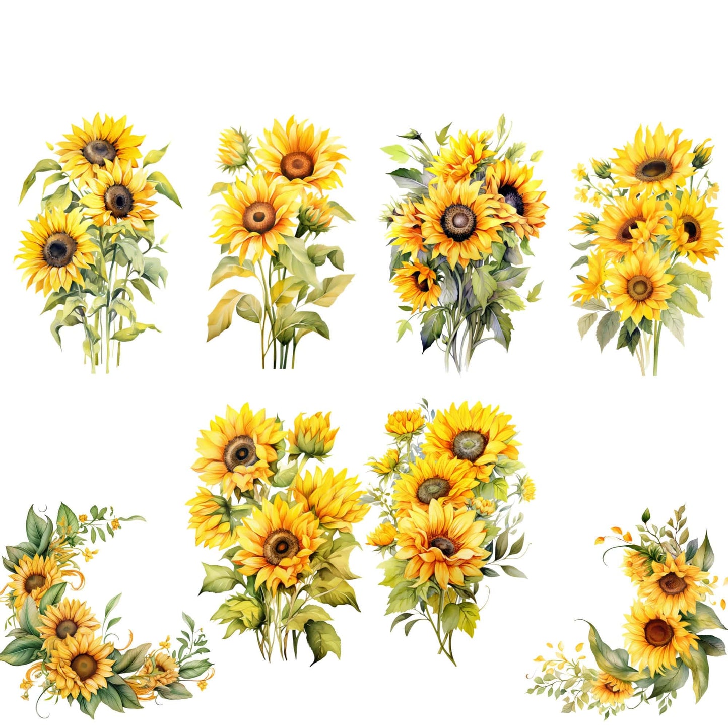 Watercolor Sunflower Clipart