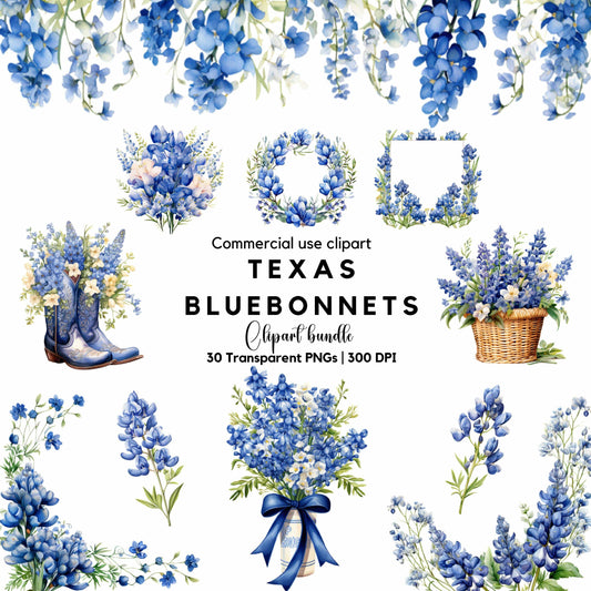Watercolor Texas Bluebonnet floral Clipart