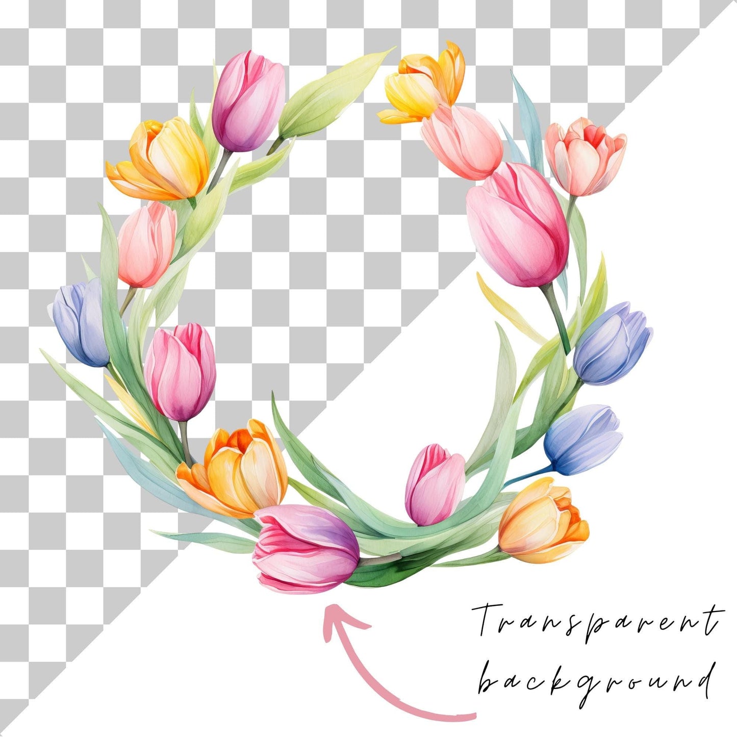 Watercolor Tulip Floral Clipart