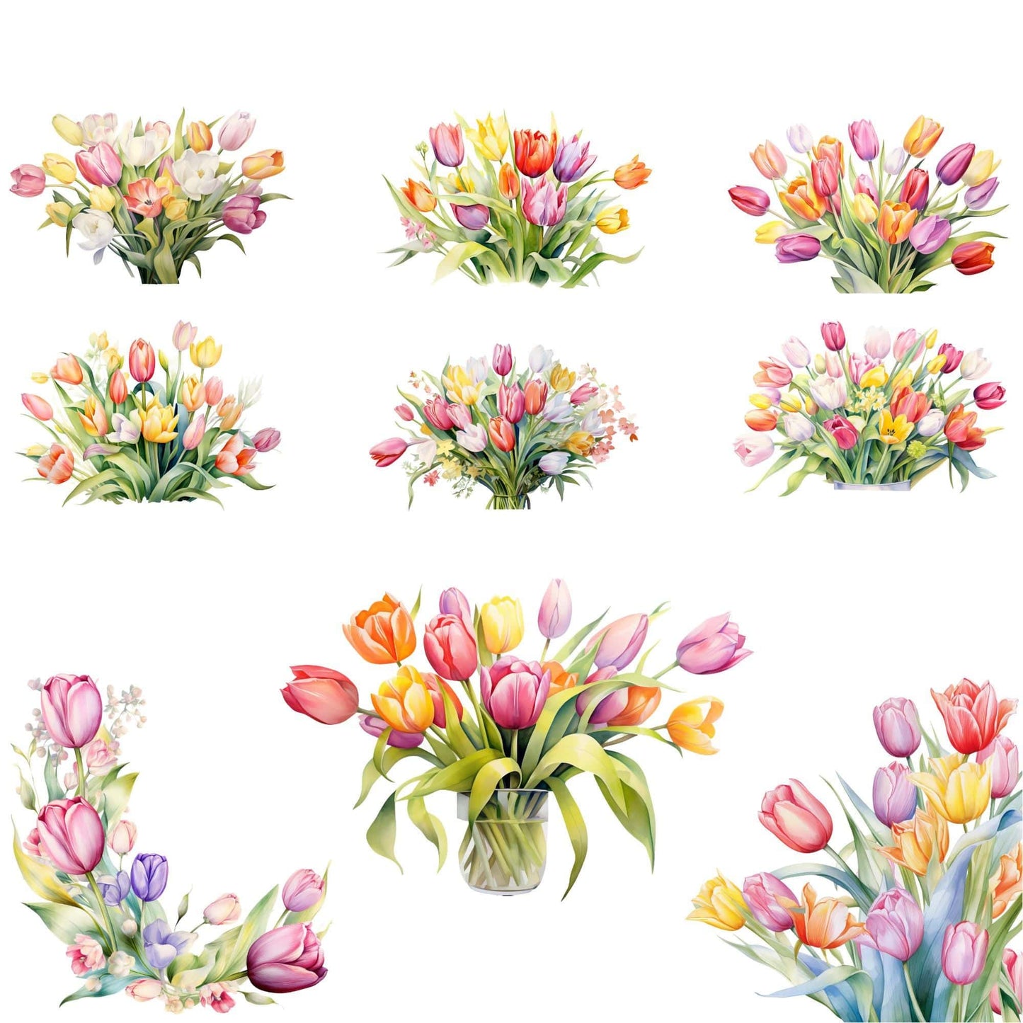 Watercolor Tulip Floral Clipart