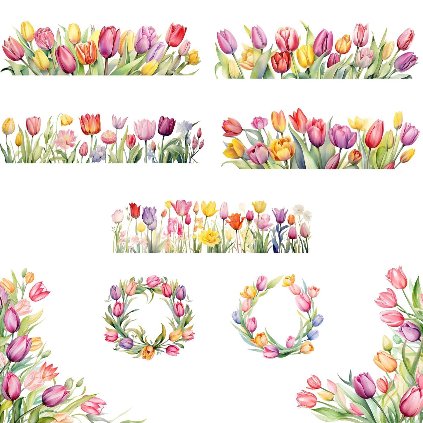 Watercolor Tulip Floral Clipart