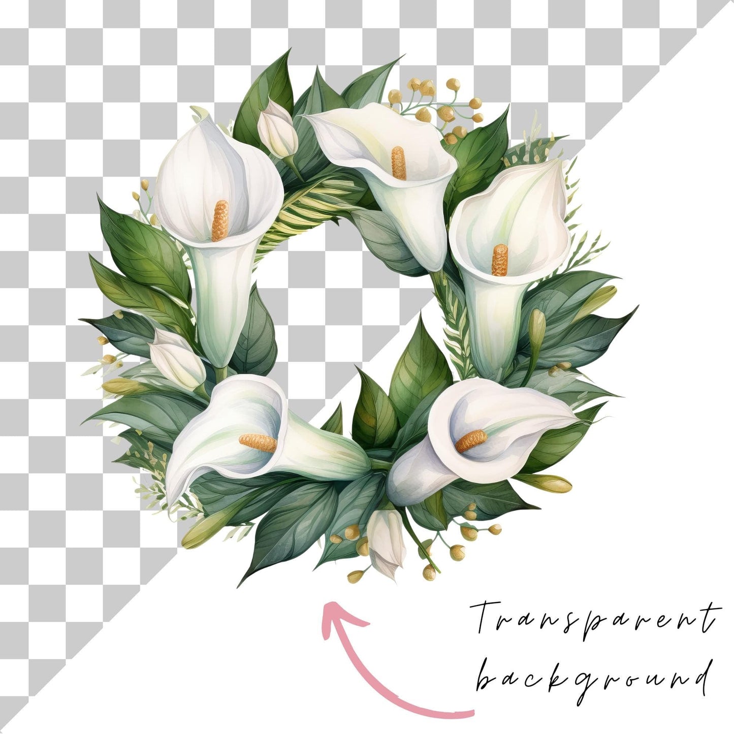 Watercolor White Calla Lily Clipart