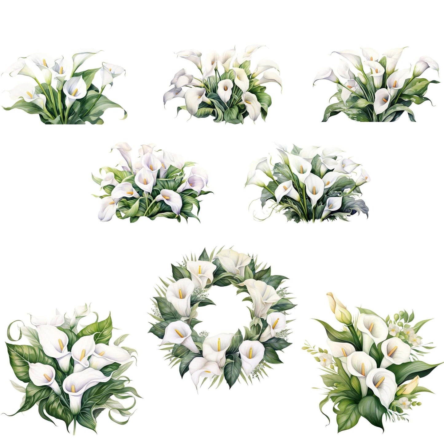 Watercolor White Calla Lily Clipart