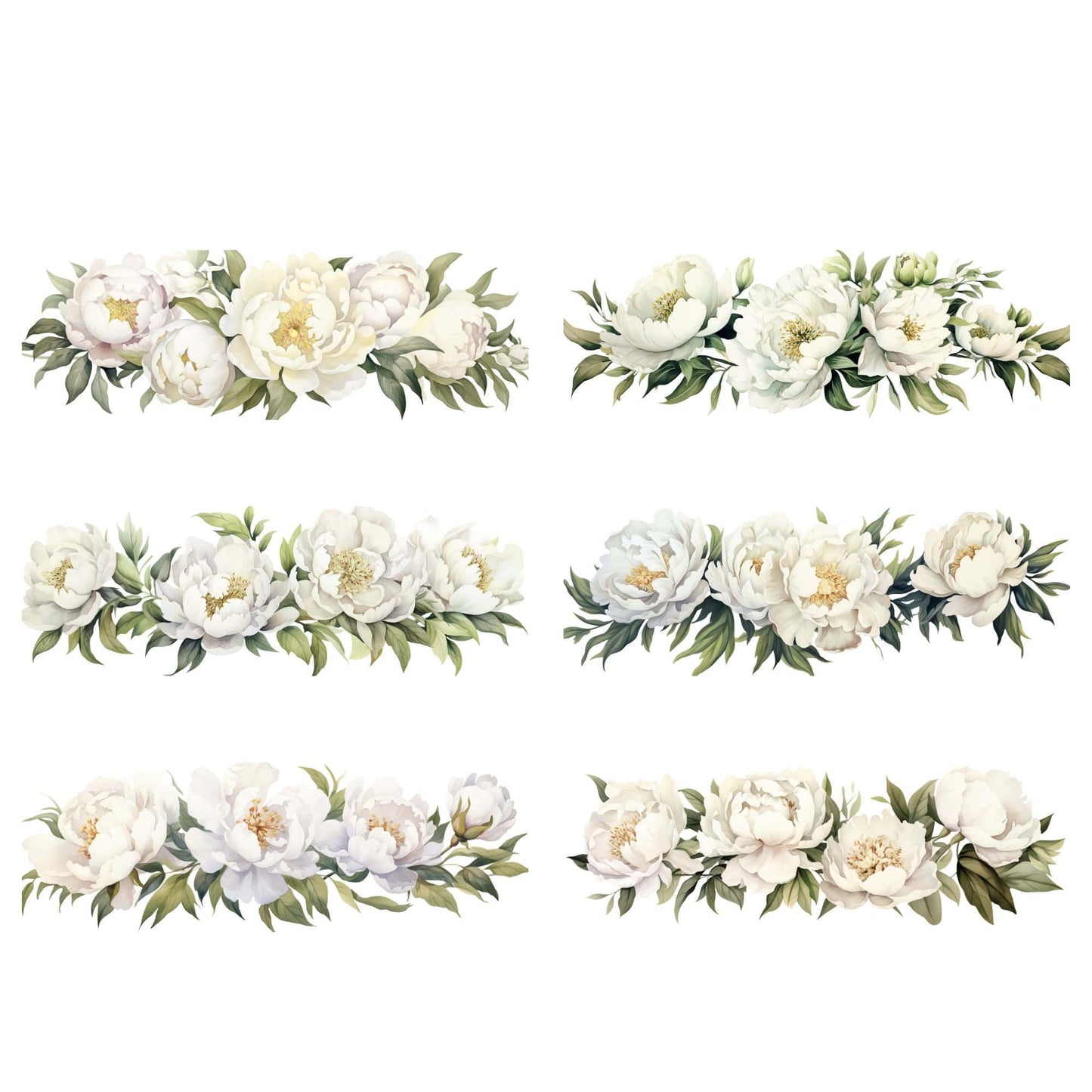 Watercolor White Peony Clipart