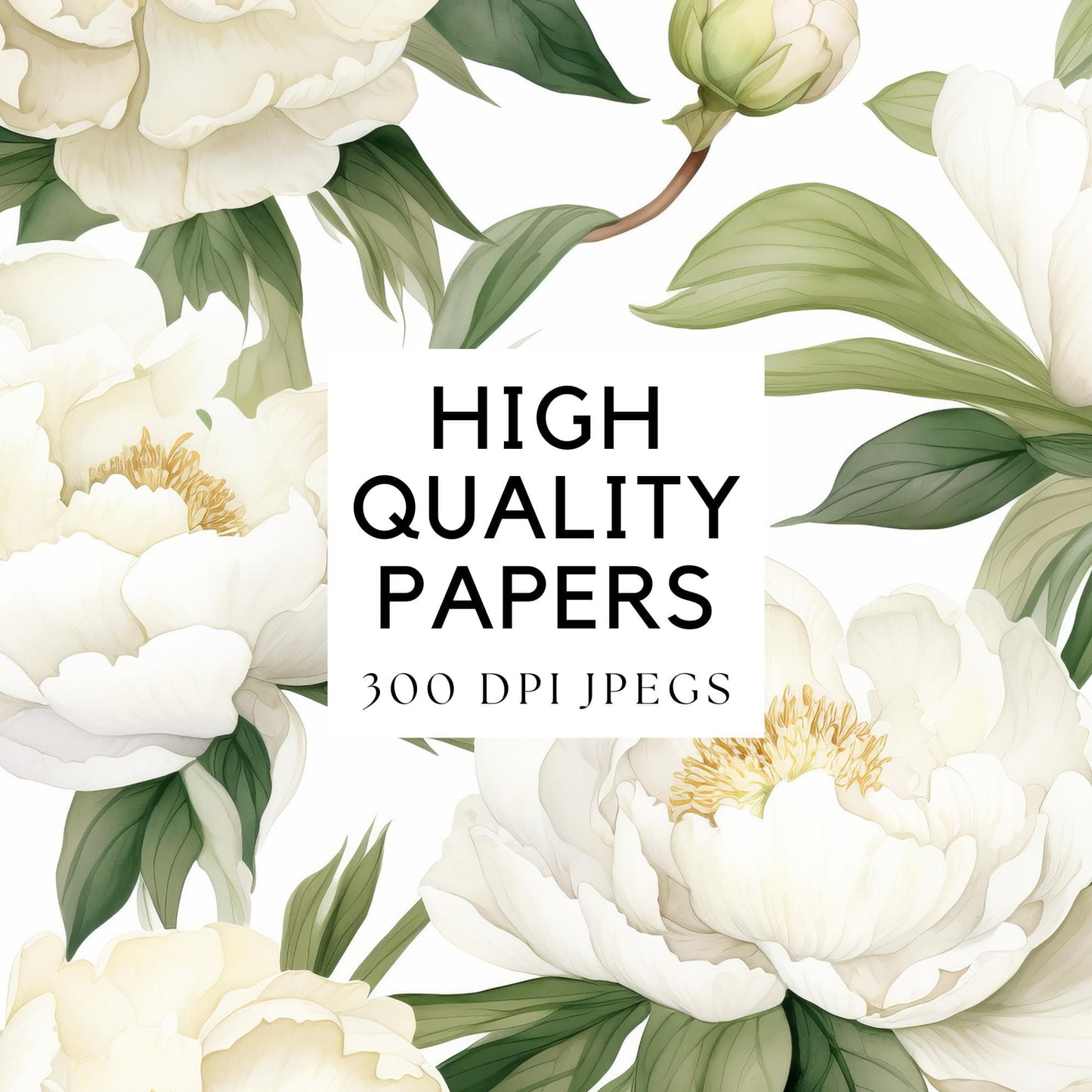Watercolor White Peony Digital Papers
