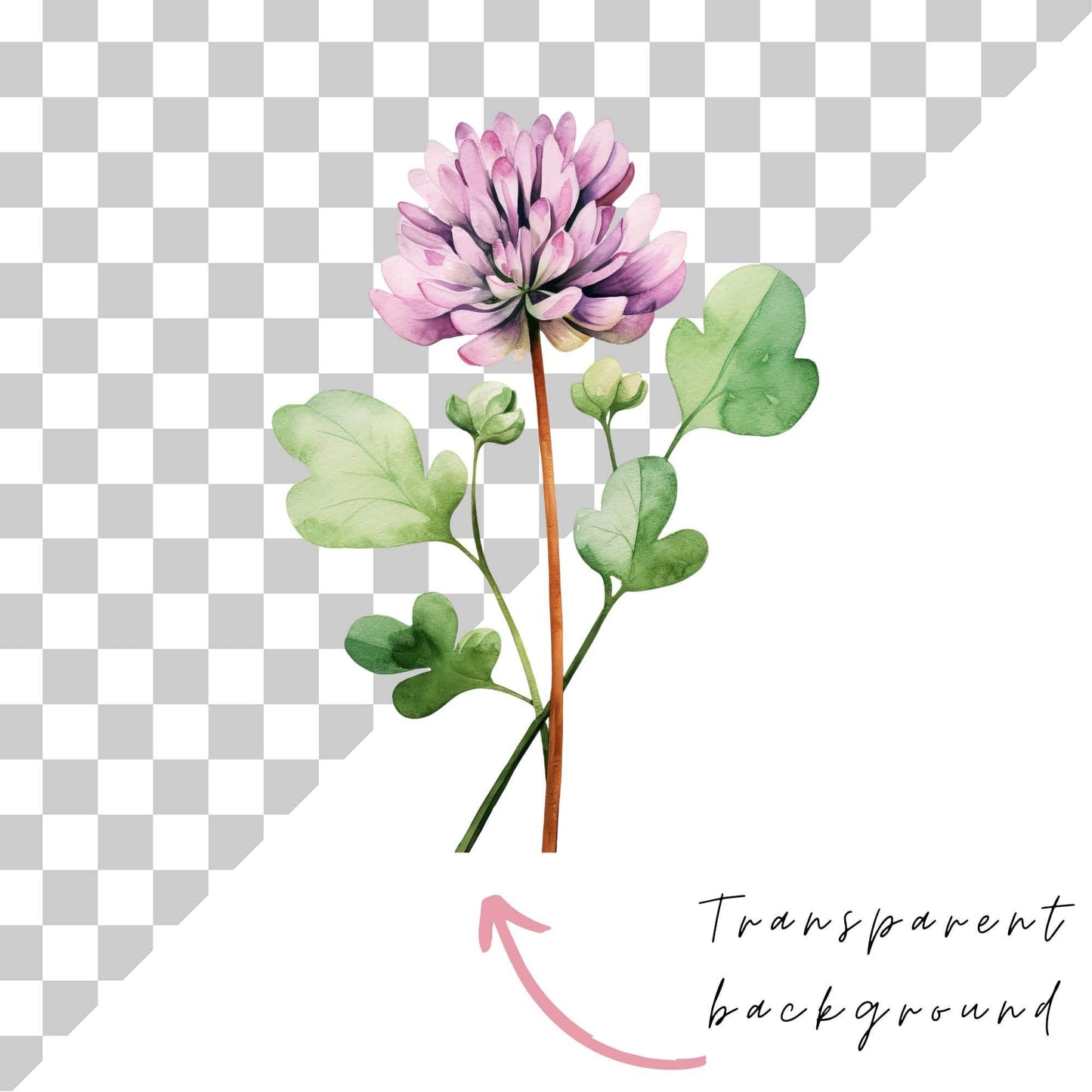 Watercolor Wildflower Clipart Pack