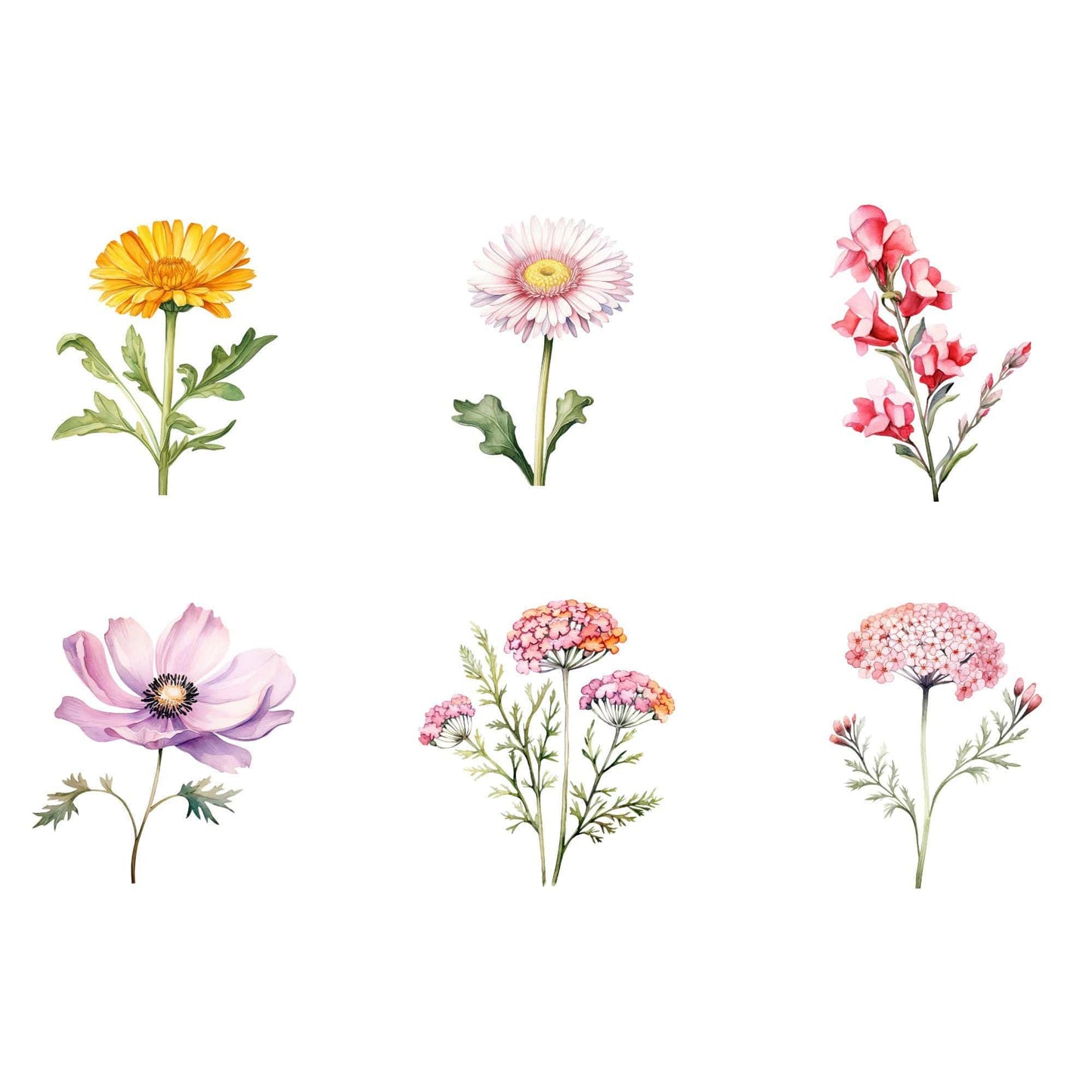 Watercolor Wildflower Clipart Pack