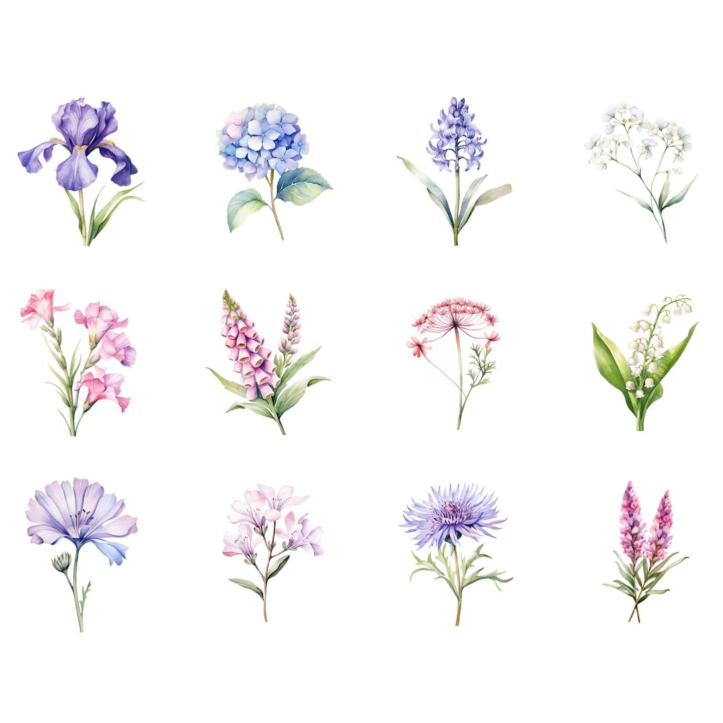 Watercolor Wildflower Clipart Pack