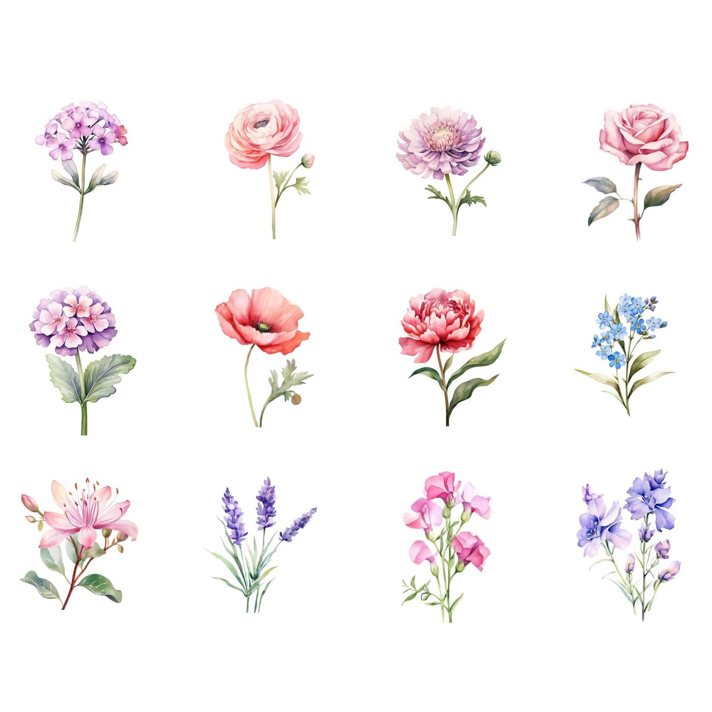 Watercolor Wildflower Clipart Pack