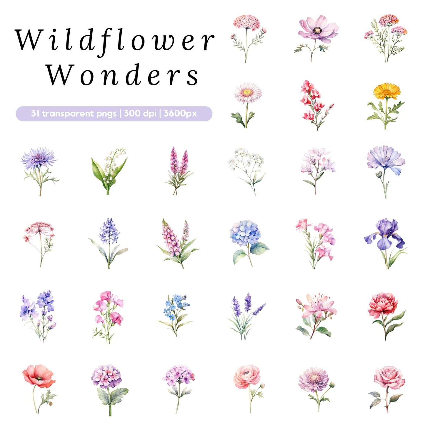 Watercolor Wildflower Clipart Pack