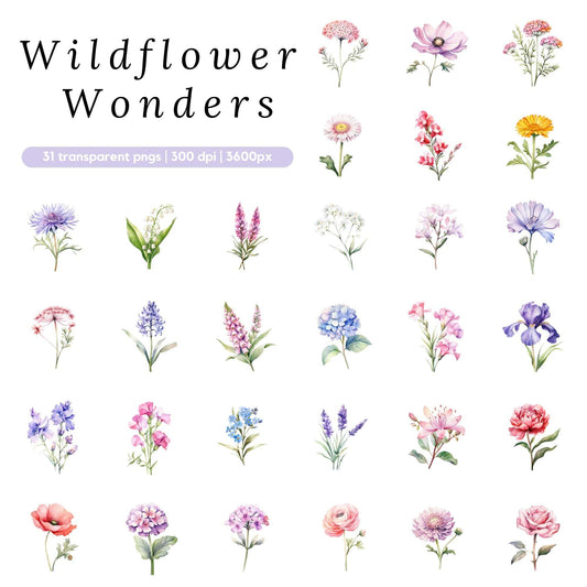 Watercolor Wildflower Clipart Pack