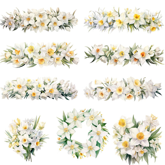 White Daffodil Clipart