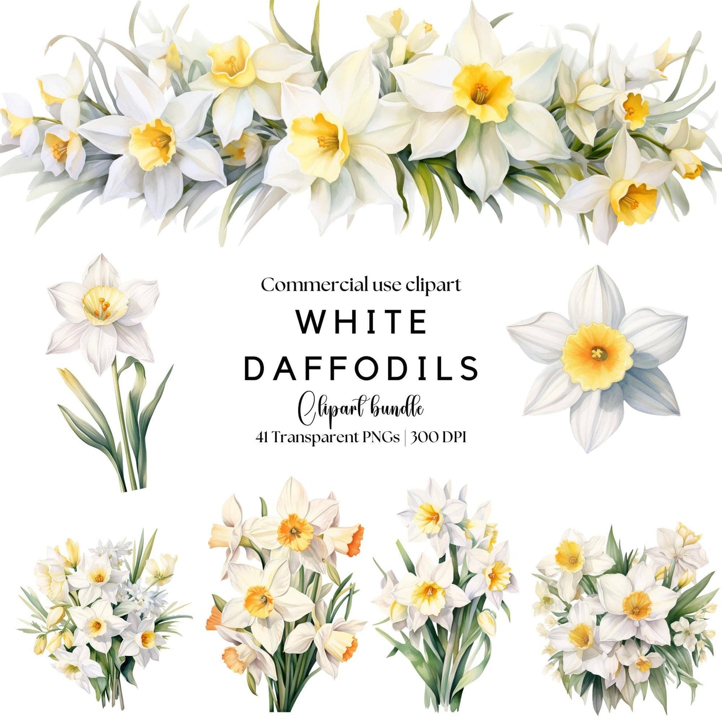 White Daffodil Clipart